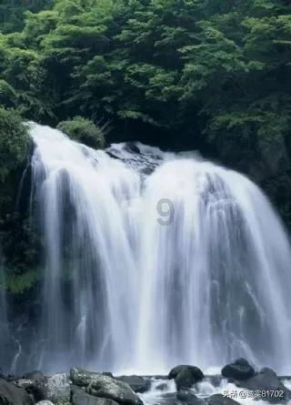 今年的戛纳红毯，你更喜欢谁的红毯造型？